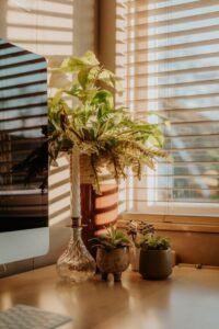 resized_137102